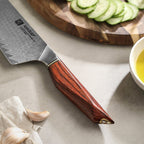 10" Bunka Knife - Uliassi Series (X03) - Xinzuo Australia