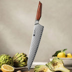 10" Bunka Knife - Uliassi Series (X03) - Xinzuo Australia