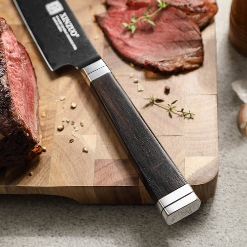 10" Carving Knife - Ji Series (X08)