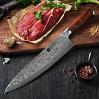 10" Chef Knife - Yu Series (B13R) - Xinzuo Australia