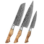 3-Piece Knife Set - Master Series (B30)