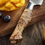 2 - Piece Knife Set - Master Series (B30) - Xinzuo Australia