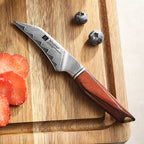 4" Paring Knife - Uliassi Series (X03)