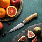 3.5" Paring Knife - Elegant Series (B38L) - Xinzuo Australia