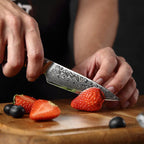 3.5" Paring Knife - Master Series (B30) - Xinzuo Australia