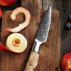 3.5" Paring Knife - Master Series (B30) - Xinzuo Australia