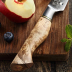 3.5" Paring Knife - Master Series (B30) - Xinzuo Australia