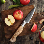 3.5" Paring Knife - Master Series (B30) - Xinzuo Australia
