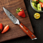 3.5" Paring Knife - Yu Series (B13R) - Xinzuo Australia