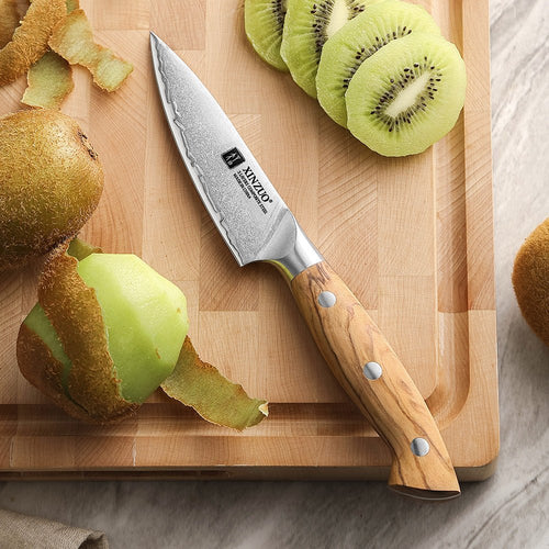 4" Paring Knife - Pin Series (X020)