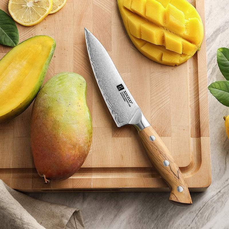 4" Paring Knife - Pin Series (X020) - Xinzuo Australia