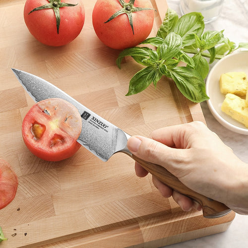 4" Paring Knife - Pin Series (X020)