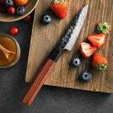 4" Paring Knife - Retro Series (PM8S)