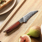 4" Paring Knife - Uliassi Series (X03) - Xinzuo Australia