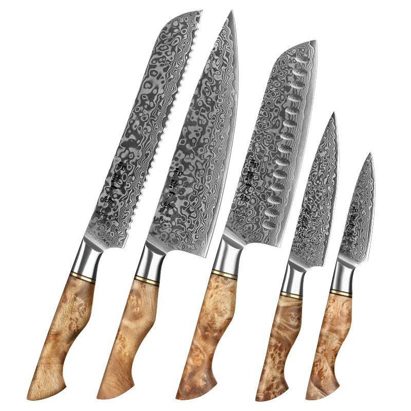 5 - Piece Knife Set - Master Series (B30) - Xinzuo Australia