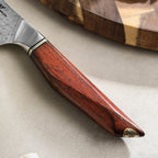 5.5" Utility Knife - Uliassi Series (X03) - Xinzuo Australia