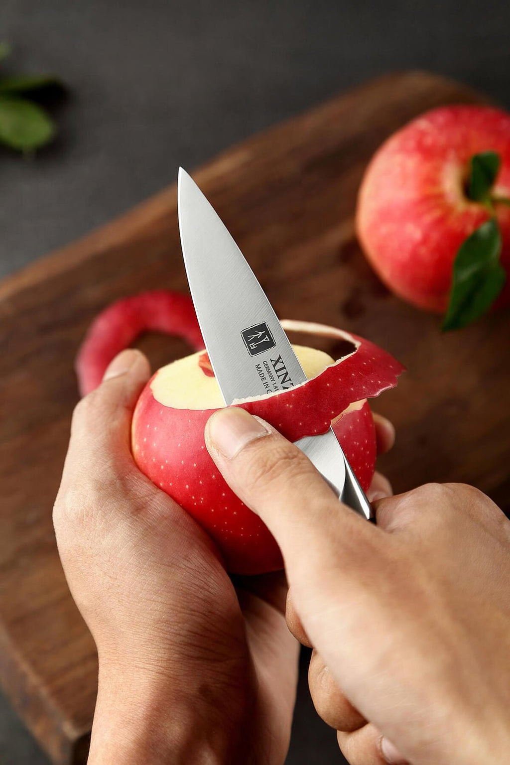 3.5" Paring Knife - Yu Series (B13S) - Xinzuo Australia