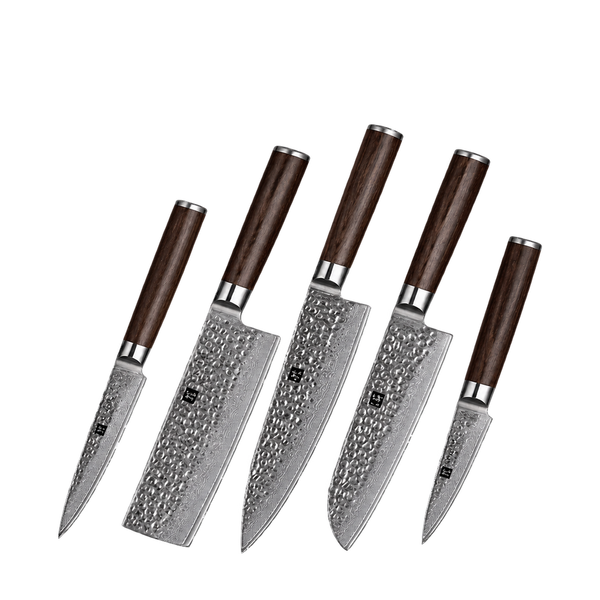 5-Piece Knife Set - He Series (B1H)