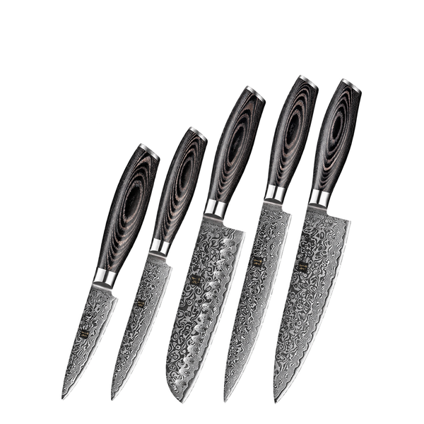 5-Piece Knife Set - Ya Series (B20)