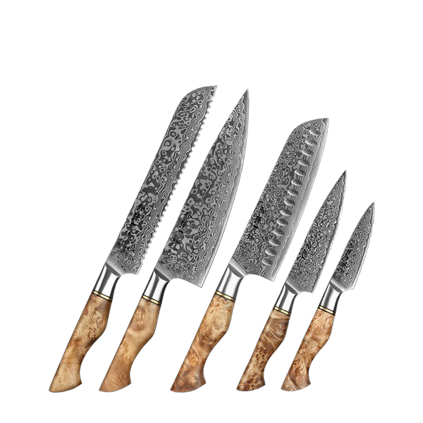 5-Piece Knife Set - Master Series (B30)