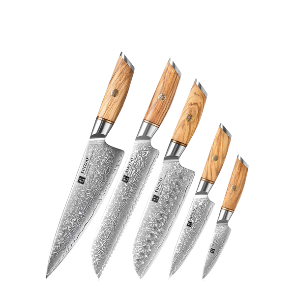 5-Piece Knife Set - Lan Series (B37)