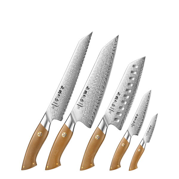 5-Piece Knife Set - Elegant Series (B38L)