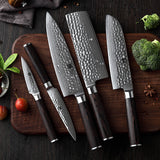 5-Piece Knife Set - He Series (B1H)